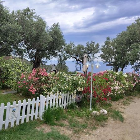 Villa Pierina 菲纳莱利古雷 外观 照片