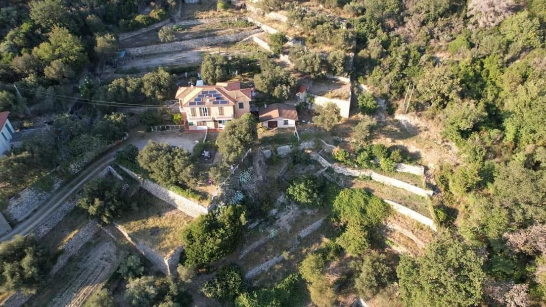 Villa Pierina 菲纳莱利古雷 外观 照片