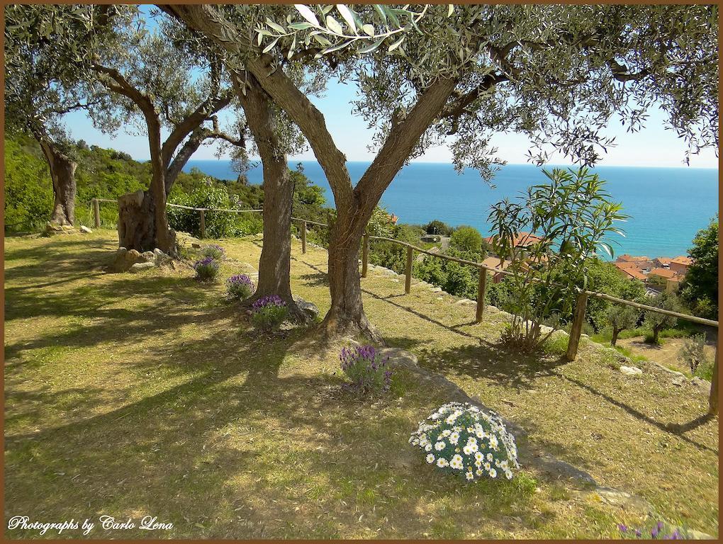 Villa Pierina 菲纳莱利古雷 外观 照片